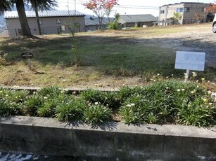 ふじが丘広場の花壇の写真1