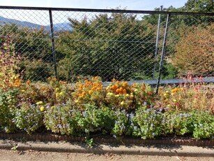 緑ヶ丘北第一公園のプランターの写真