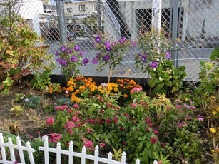 相田第六公園の花壇の写真