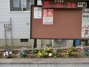 ふじが丘集会所の花壇の写真1