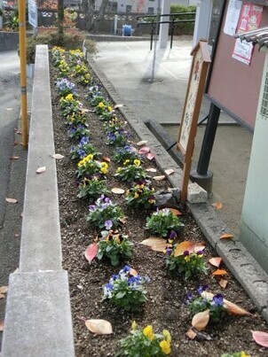 ふじが丘集会所の花壇の写真2