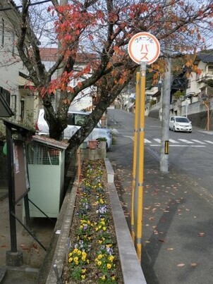 ふじが丘集会所の花壇の写真3