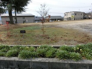 ふじが丘広場の花壇の写真1