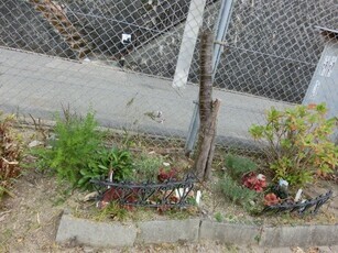 向が丘公園の花壇の写真2