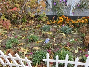 相田第六公園の花壇の写真