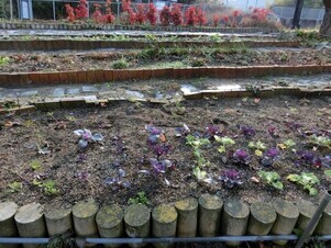 相田第七公園の花壇1