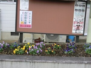 ふじが丘集会所の花壇の写真1