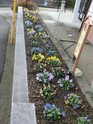 ふじが丘集会所の花壇の写真2