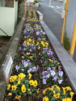 ふじが丘集会所の花壇の写真3