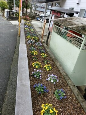 ふじが丘集会所の花壇の写真2