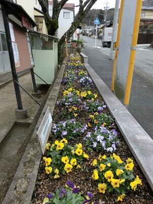 ふじが丘集会所の花壇の写真3