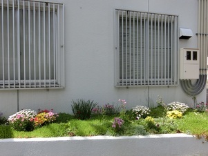 第一生命安古市支部の花壇の写真1