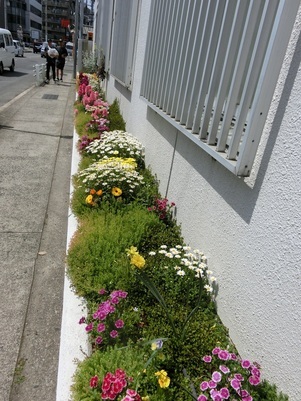 第一生命安古市支部の花壇の写真2