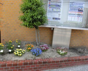 広島県信用組合安古市支店の花壇の写真1