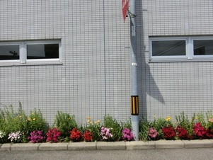 サーパスタウン大町の花壇の写真1