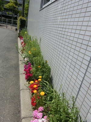 サーパスタウン大町の花壇の写真2