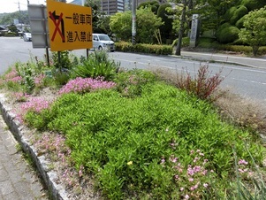 アストラムライン大町駅の花壇の写真
