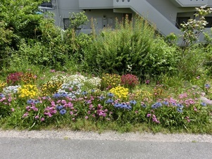 大町東2-5道路沿いの写真1