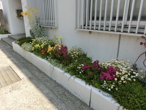 第一生命安古市支部の花壇の写真1