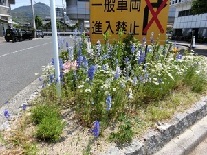 アストラムライン大町駅の花壇の写真