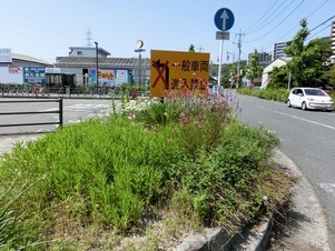 AR大町駅の花壇の写真3