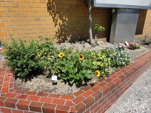 広島県信用組合安古市支店の花壇の写真1