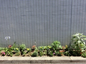 サーパスタウン大町の花壇の写真1