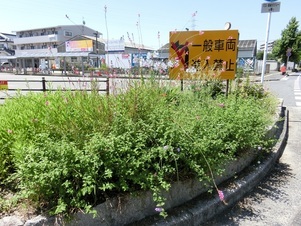 アストラムライン大町駅の花壇の写真
