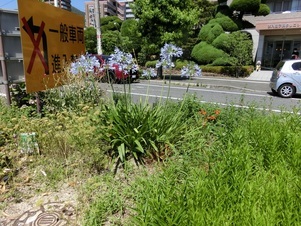 AR大町駅の写真2