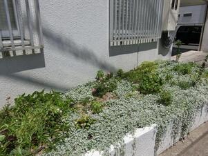 第一生命安古市支部の花壇の写真1