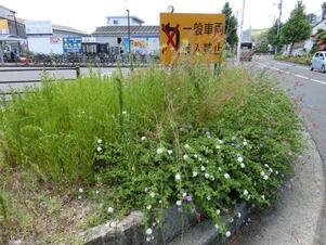 AR大町駅の写真2