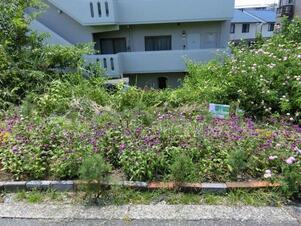 大町東2-5道路沿いの写真1
