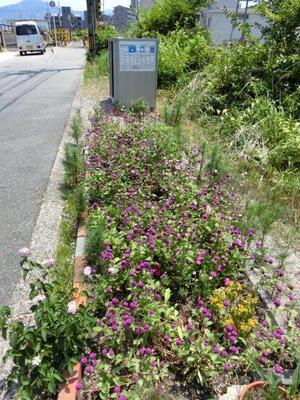 大町東2-5道路沿いの写真2