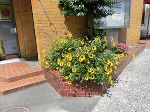 広島県信用組合安古市支店の花壇の写真1