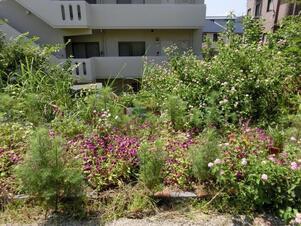 大町東2-5道路沿いの写真1