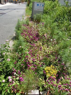 大町東2-5道路沿いの写真2