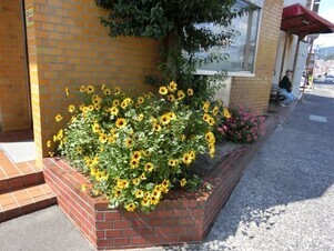 広島県信用組合安古市支店の花壇の写真1