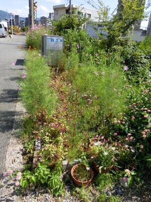 大町東2-5道路沿いの写真1