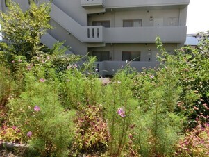 大町東2-5道路沿いの写真2