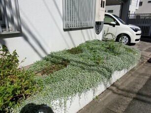 第一生命安古市支部の花壇の写真2