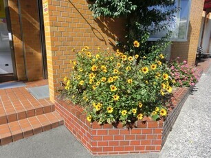 広島県信用組合安古市支店の花壇の写真1