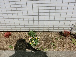 サーパスタウン大町の花壇の写真2