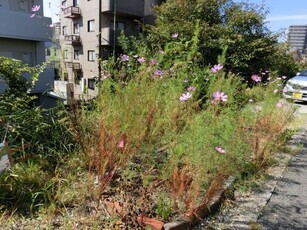 大町東2-5道路沿いの写真1