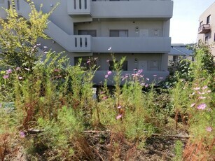 大町東2-5道路沿いの写真2