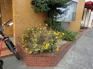 広島県信用組合安古市支店の花壇の写真1