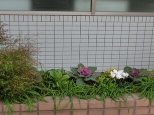 サーパスタン大町の花壇の写真3