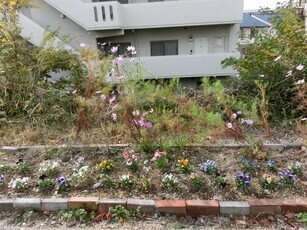 大町東2-5道路沿いの写真1