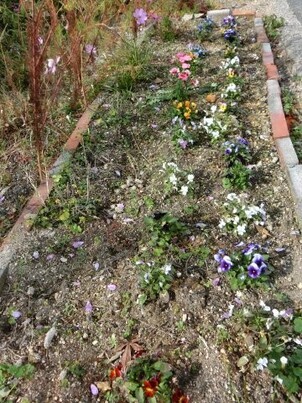 大町東2-5道路沿いの写真2