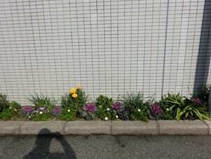 サーパスタウン大町の花壇の写真1