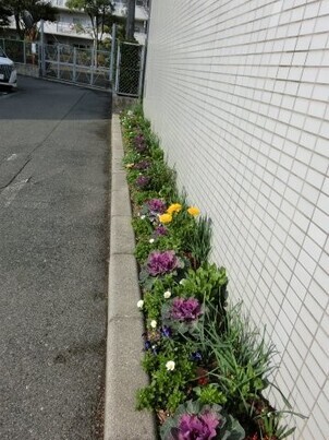 サーパスタウン大町の花壇の写真2